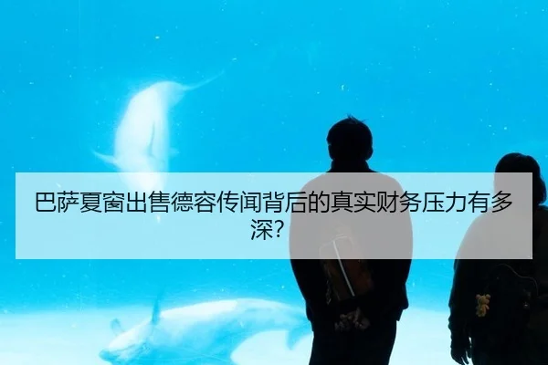 ba-sa-xia-chuang-chu-shou-de-rong-chuan-wen-bei-hou-de-zhen-shi-cai-wu-ya-li-you-duo-shen-2-400.jpg